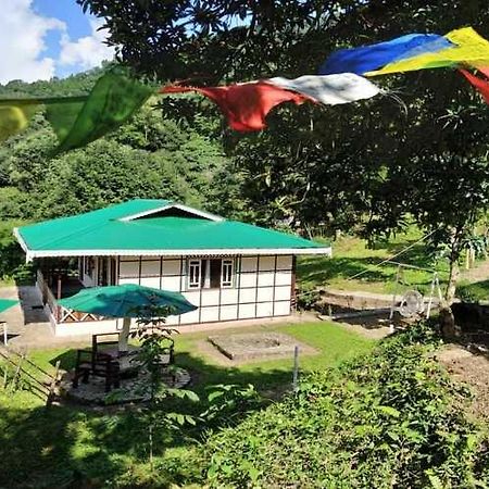 The Nettle And Fern Farmstay Pelling Exteriör bild