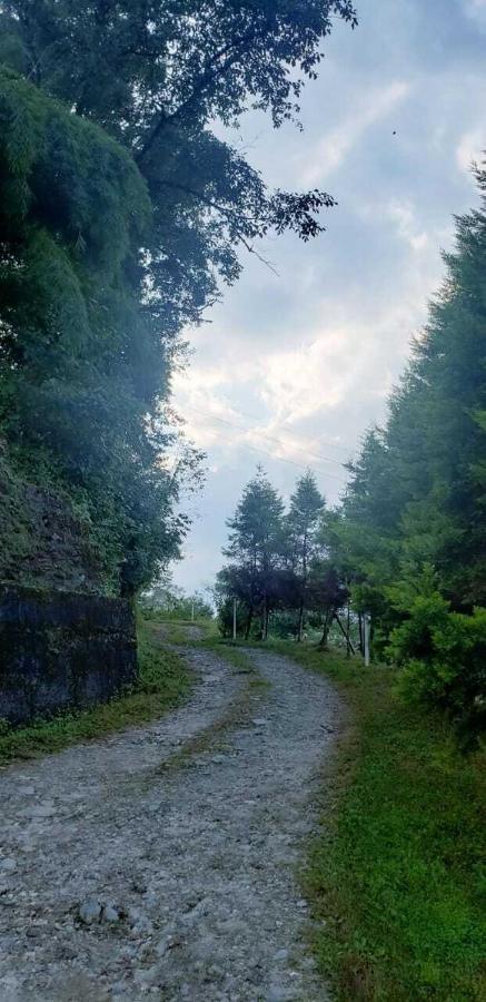 The Nettle And Fern Farmstay Pelling Exteriör bild